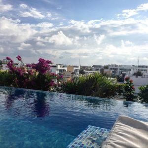 Meet your Posher, Jill